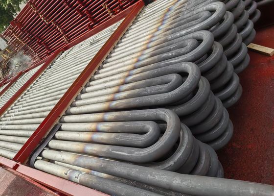 ASTM A249 Carbon Steel Serpentine Coil / Snake Tube nel riscaldatore della caldaia