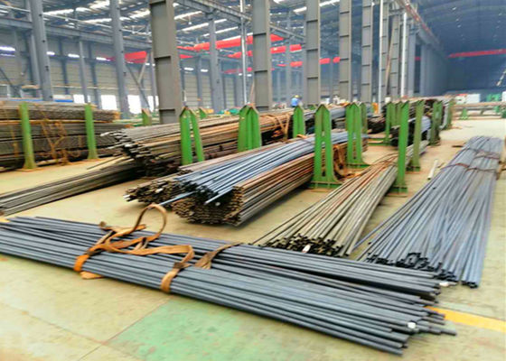 Metropolitana d'acciaio della caldaia lunga eccellente di HRSG per la norma dell'en di GB ASME della produzione di energia