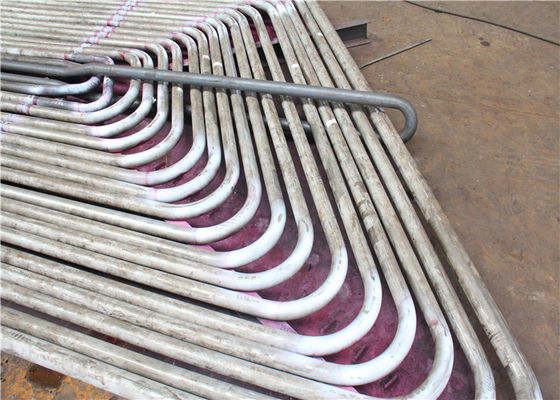 Caldaia infornata carbone Serpentine Tube Stainless Steel di EN3834 1500mm