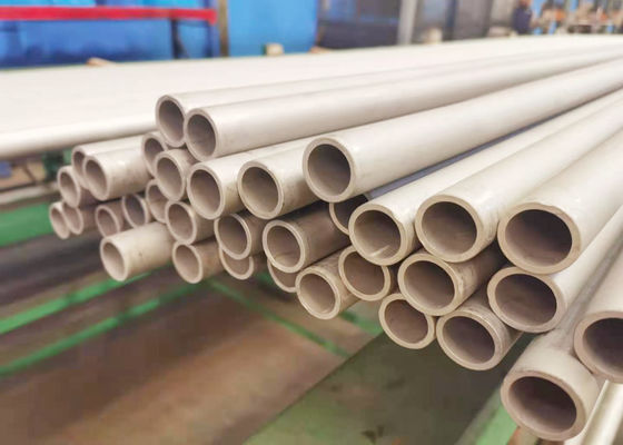 tubo senza cuciture del surriscaldatore ss 304 secondari di 6mm per l'inceneritore di rifiuti MSWI