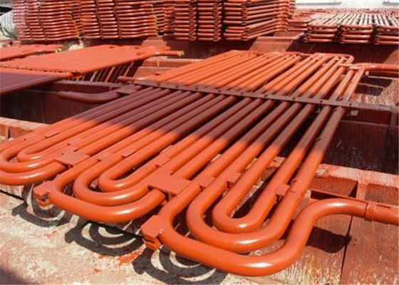 Corrosione Serpentine Tube dell'economizzatore della caldaia del mulino dell'olio di palma anti