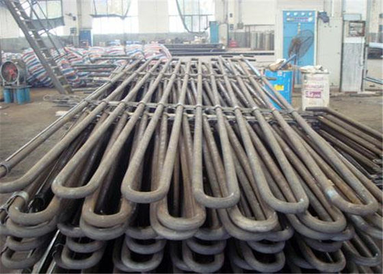 Corrosione Serpentine Tube dell'economizzatore della caldaia del mulino dell'olio di palma anti