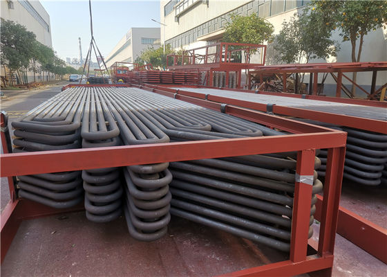 Norma Serpentine Superheater Coil senza cuciture inossidabile di ASME